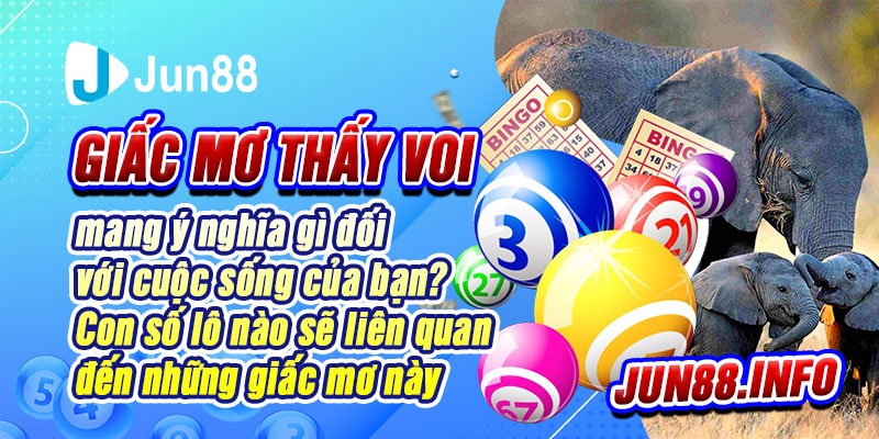 Giấc mơ thấy voi mang ý nghĩa gì? Và con số liên quan? 32 3 Giac mo thay voi mang y nghia gi doi voi cuoc song cua ban Con so lo nao se lien quan den nhung giac mo nay